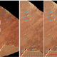 Illustration for article titled What Mystery Creature Left These 190-Million-Year-Old Footprints?